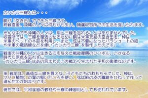 カンカラ三線 完成品＋ E-Learning　すぐ弾けます♪ - 画像 (15)